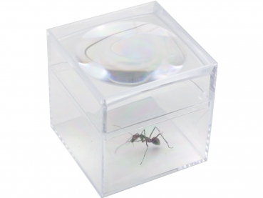 magnifier box - 5fold - 40mm